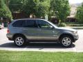 2006 X5 3.0i #5