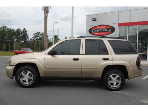 Sandstone Metallic Chevrolet TrailBlazer LS. Click to enlarge. Sandstone Metallic Chevrolet TrailBlazer LS. Click to enlarge.