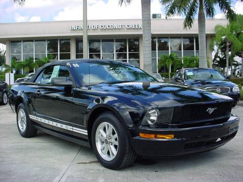Black Ford Mustang V6 Premium Convertible.  Click to enlarge.