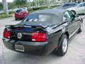 2006 Mustang V6 Premium Convertible #3