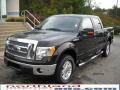 2010 F150 Lariat SuperCrew 4x4 #2