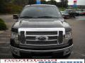 2010 F150 Lariat SuperCrew 4x4 #3