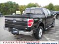2010 F150 Lariat SuperCrew 4x4 #6