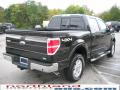 2010 F150 Lariat SuperCrew 4x4 #6