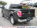 2010 F150 Lariat SuperCrew 4x4 #8