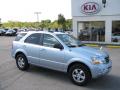 2008 Sorento LX 4x4 #1