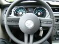 2010 Mustang V6 Coupe #14