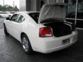 2010 Charger R/T #8
