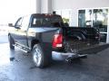 2010 Ram 1500 Big Horn Crew Cab #8