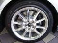 2009 Mustang Shelby GT500KR Coupe #14 2009 Mustang Shelby GT500KR Coupe #14