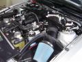 2009 Mustang Shelby GT500KR Coupe #19 2009 Mustang Shelby GT500KR Coupe #19