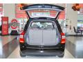 2009 Rondo LX #31