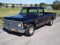 1971 C/K C10 Series Cheyenne #6