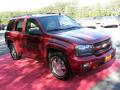 2007 TrailBlazer LT 4x4 #3 2007 TrailBlazer LT 4x4 #3