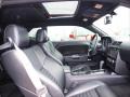 2009 Challenger R/T #8