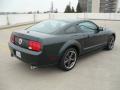 2008 Mustang Bullitt Coupe #6