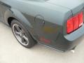 2008 Mustang Bullitt Coupe #11