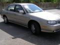 1999 Malibu Sedan #2