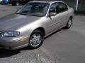 1999 Malibu Sedan #5