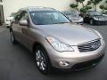 2008 EX 35 Journey AWD #8