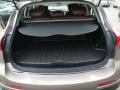 2008 EX 35 Journey AWD #20
