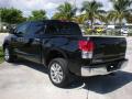 2010 Tundra Platinum CrewMax 4x4 #5