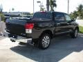 2010 Tundra Platinum CrewMax 4x4 #8