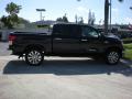 2010 Tundra Platinum CrewMax 4x4 #9