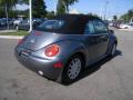 2004 New Beetle GLS Convertible #6