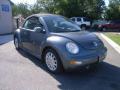 2004 New Beetle GLS Convertible #8