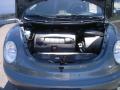 2004 New Beetle GLS Convertible #9
