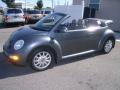 2004 New Beetle GLS Convertible #15