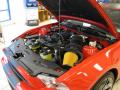 2010 Mustang Shelby GT500 Coupe #29 2010 Mustang Shelby GT500 Coupe #29