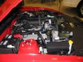 2010 Mustang Shelby GT500 Coupe #33 2010 Mustang Shelby GT500 Coupe #33