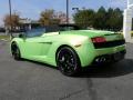 2010 Gallardo LP560-4 Spyder #8