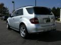 2007 ML 63 AMG 4Matic #8