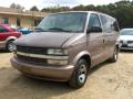 2002 Astro LS #2