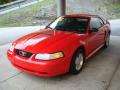 2000 Mustang V6 Coupe #5 2000 Mustang V6 Coupe #5