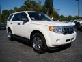 2010 Escape XLT #1