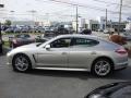 2010 Panamera S #10
