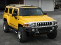 2006 H3  #3