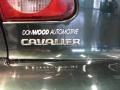 2002 Cavalier Sedan #6