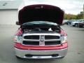 2010 Ram 1500 SLT Quad Cab 4x4 #14