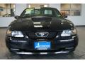 2003 Mustang GT Coupe #8