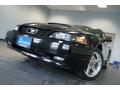 2003 Mustang GT Coupe #14