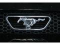 2003 Mustang GT Coupe #19