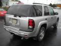 2008 TrailBlazer LS 4x4 #2 2008 TrailBlazer LS 4x4 #2