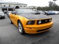 2007 Mustang GT Deluxe Coupe #1