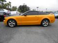 2007 Mustang GT Deluxe Coupe #2