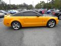 2007 Mustang GT Deluxe Coupe #10